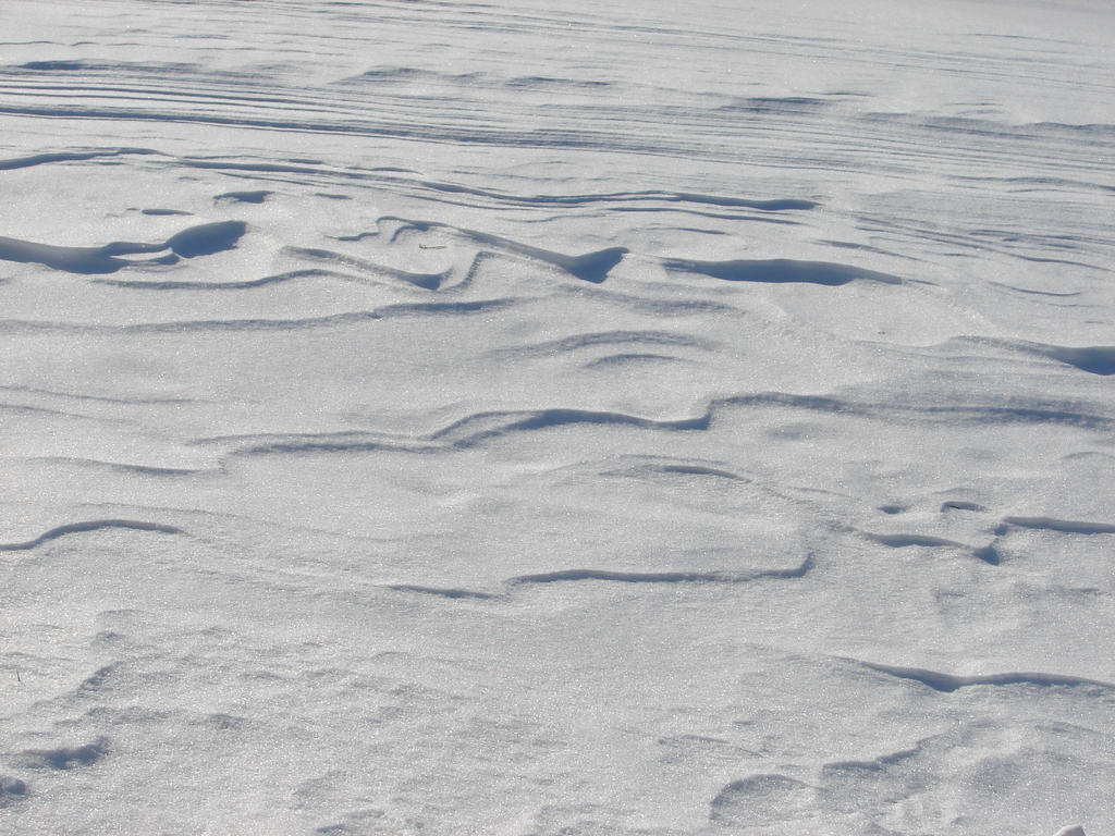 Winter Snow Drift Texture
