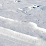 Winter Snow Drift Texture 2