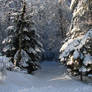 Snowy Landscape Background 05