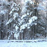 Snowy Landscape Background 09