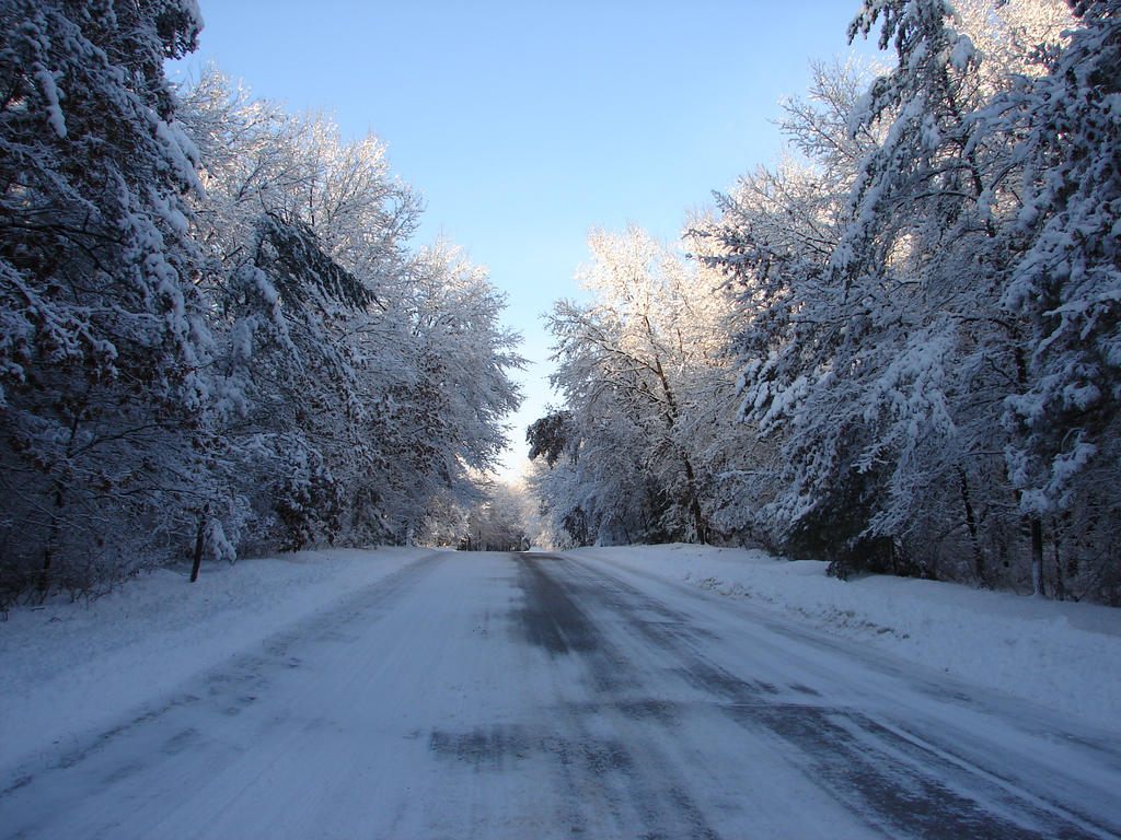 Wisconsin Woods Winter Road 2