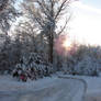 Wisconsin Woods Winter Road 3