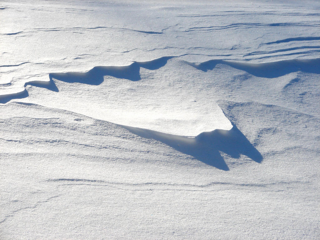 Winter Snow Drift Texture 5