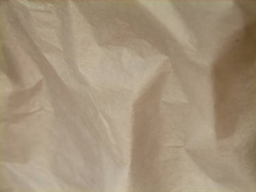 Tissue Paper Texture 1