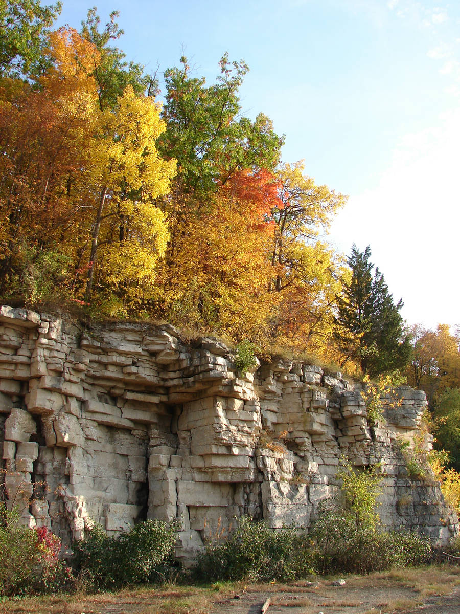 Autumn Cliff Stock Scenery 17 by FantasyStock