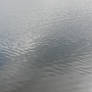 Pond Water Texture