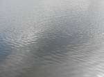 Pond Water Texture