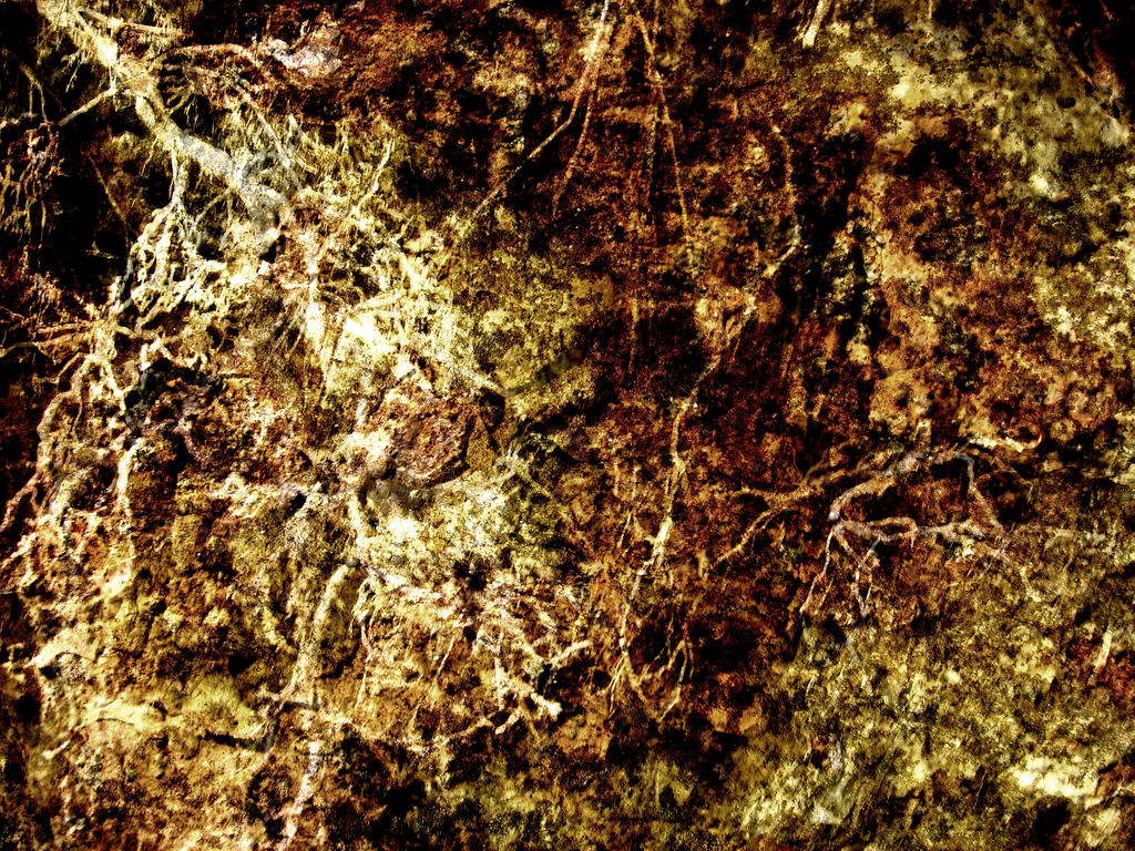Entropy Texture by FantasyStock