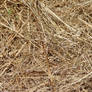Straw Hay Farm Texture