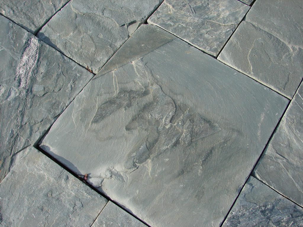 Slate Stone Texture