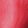 Red Rose Petal Texture