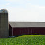 Wisconsin Dairyland Farm 5