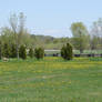 Pastoral Fence Background 4