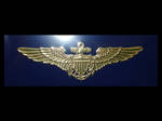 US Navy Aviator Wings