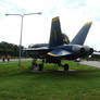 Blue Angels Parking 1