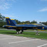 Blue Angels Parking 6