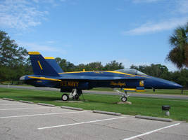 Blue Angels Parking 6