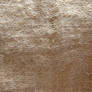 Ace Bandage Texture 3