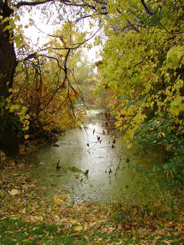 Fall Background Landscape 4