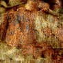 Rusty Fabric Texture