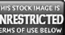 Unrestricted Stock 1