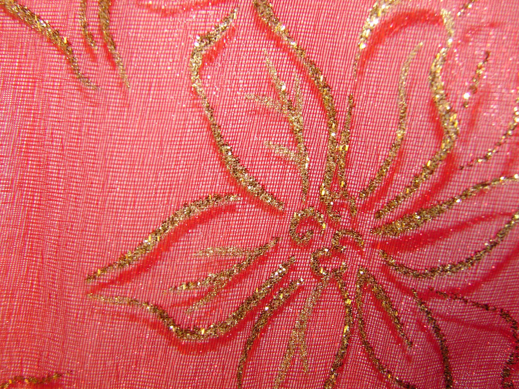 Poinsettia Christmas Pattern 5 by FantasyStock