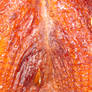 Baked Turkey Skin Texture