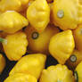 Yellow Cucurbita Pepo Squash