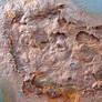 Metal Rust Texture 36