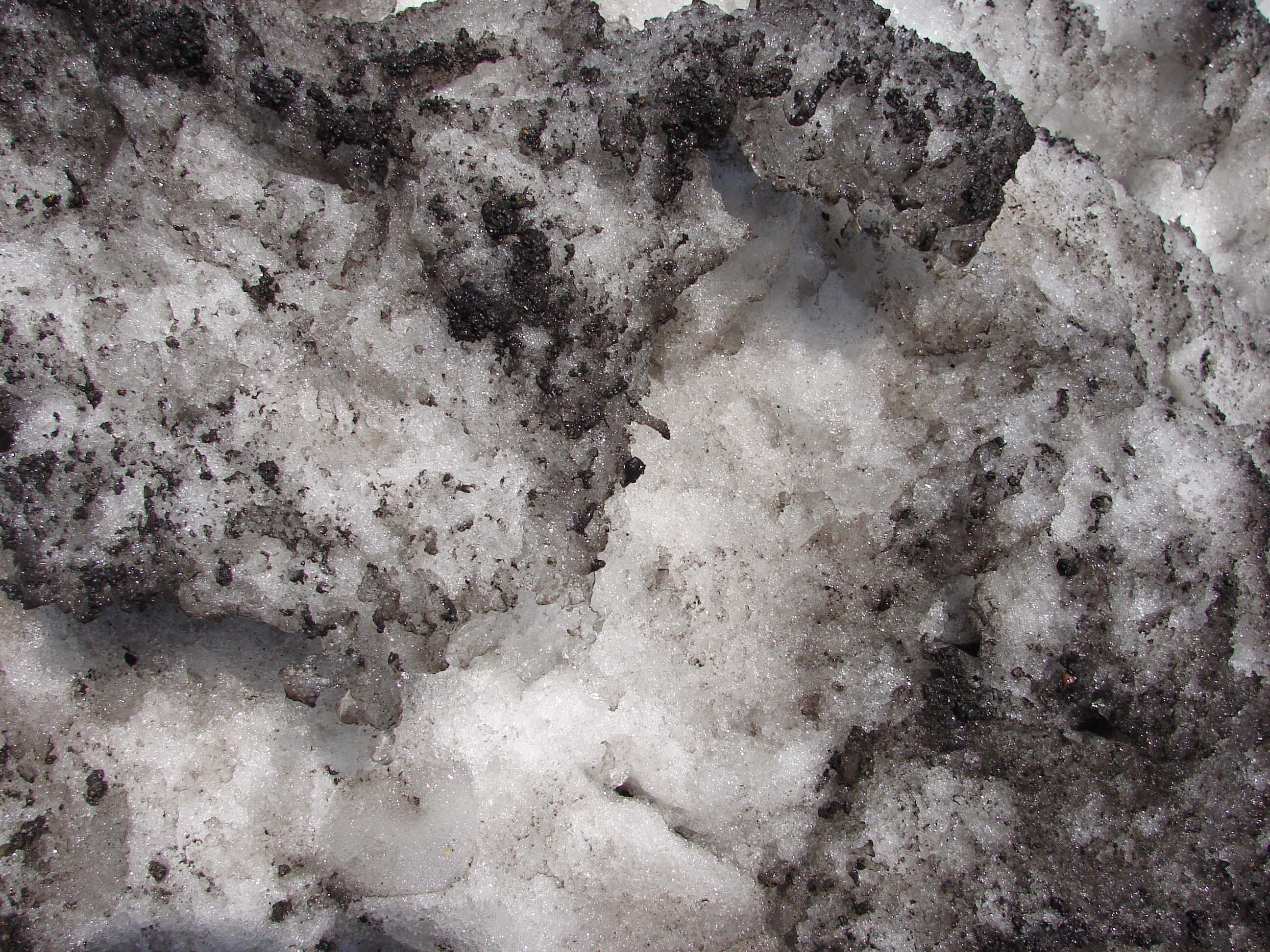 Dirty Snow Texture