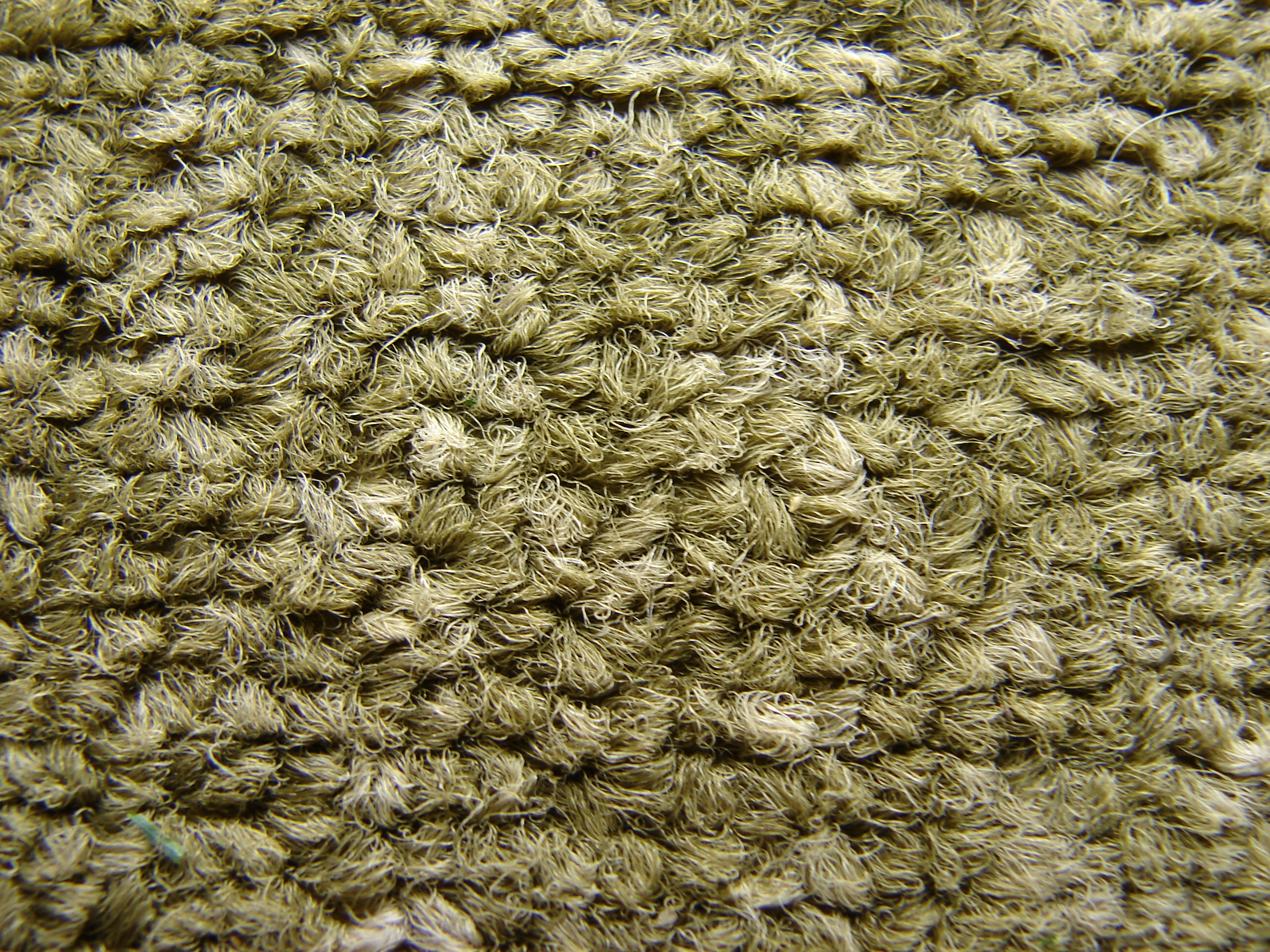 Berber Carpet Fibers Texture