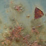 Metal Rust Texture 41