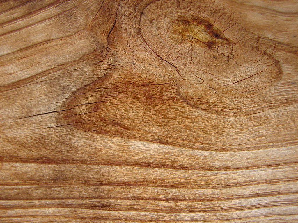 Wood Grain Texture 1