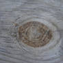 Wood Grain Texture 3