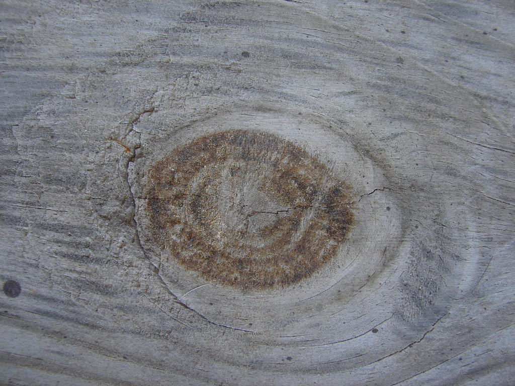 Wood Grain Texture 3 by FantasyStock