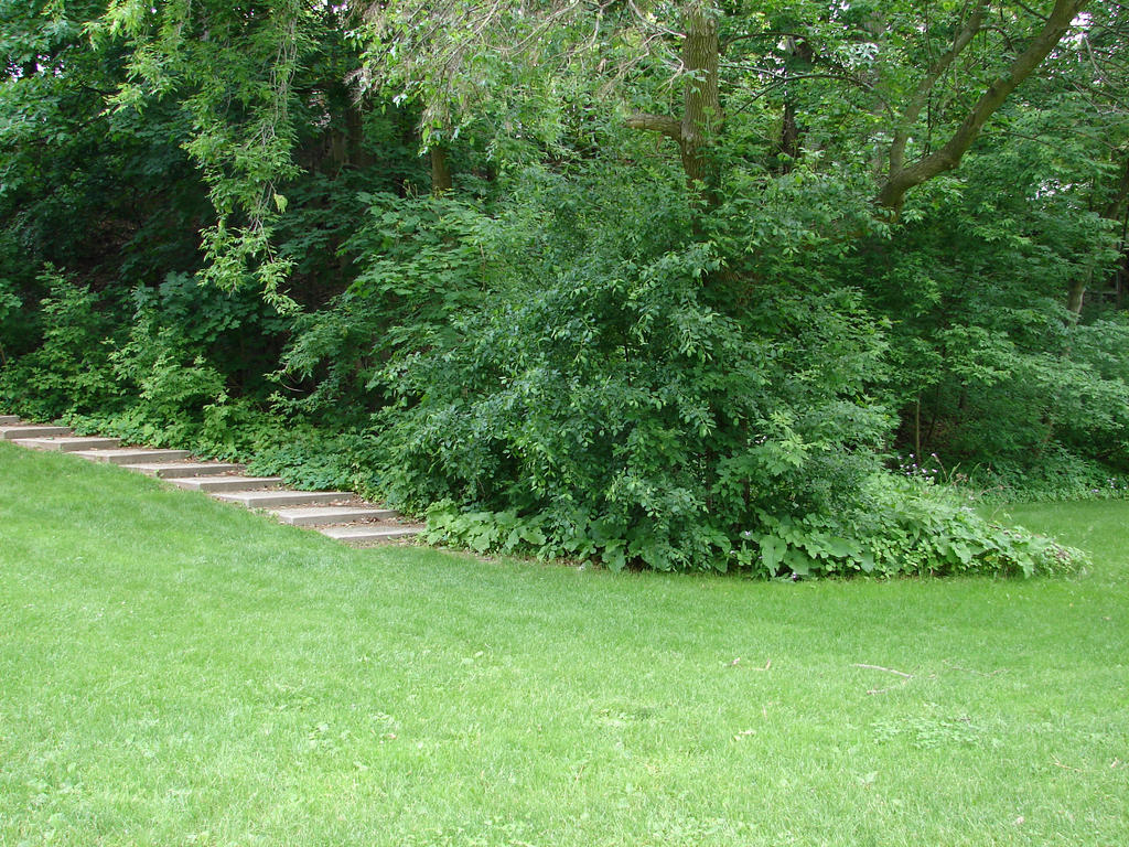 Stock Stairs Landscape 1