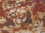 Metal Rust Texture 42
