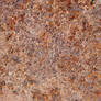 Metal Rust Texture 44