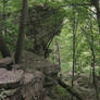 Rocky Forest Cliff Landscape