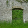 Overgrown Stone Wall with Door