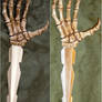 Skeletal Hand Dagger 2 Views