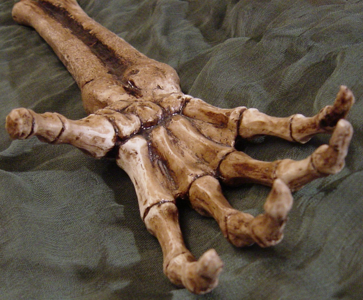 Skeletal Reaching Hand Prop