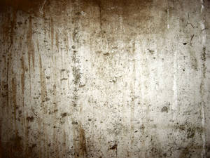 Concrete Basement Wall Texture