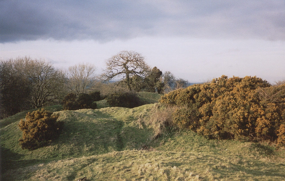 Tara Hill of the High Kings 12