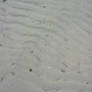 Irish Beach Sand Texture