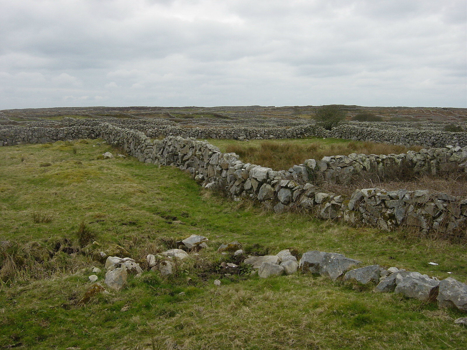 County Galway Stone Walls 2 by FantasyStock
