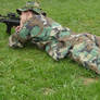 Ryan Camouflage Sniper Gun 5