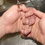 Grey's Watery Hand in Sink 06