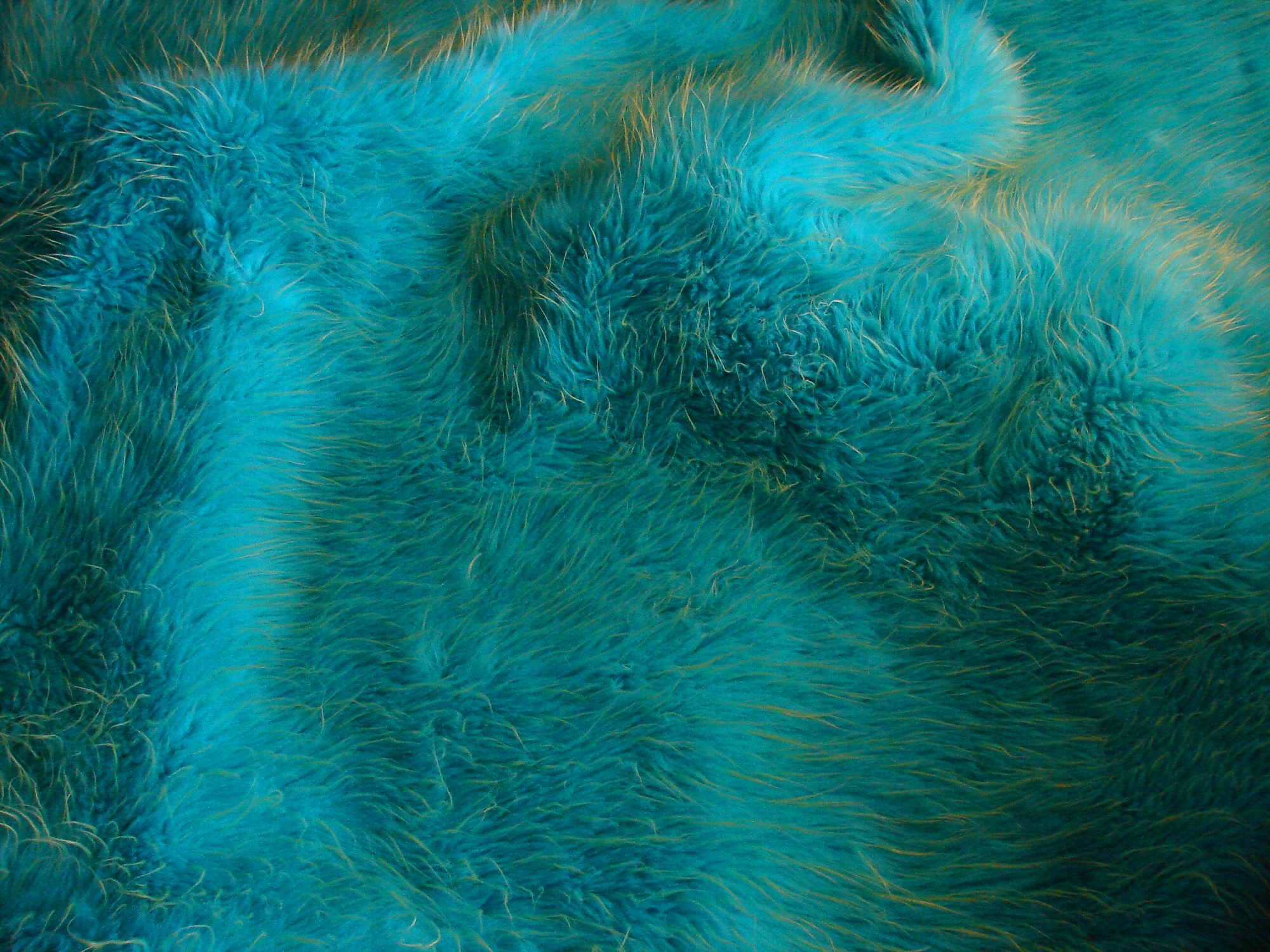 Blue and Green Fur Texture 1