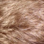 Dark Blonde Hair Texture